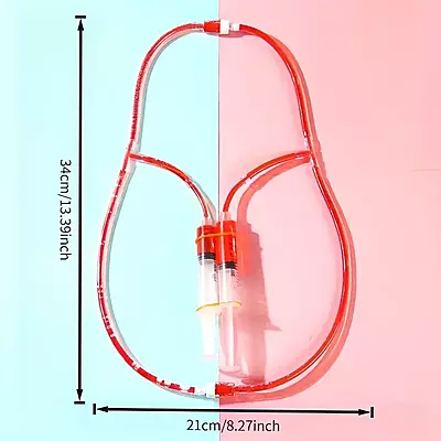 Blood Circulation Demonstration Model