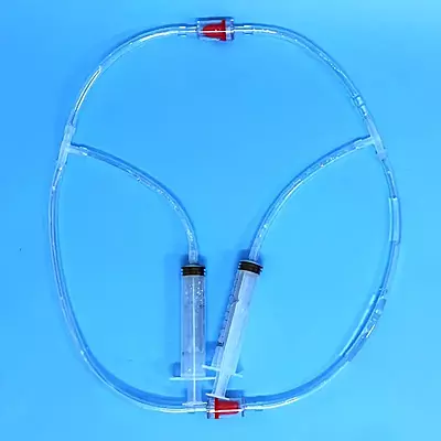 Blood Circulation Demonstration Model